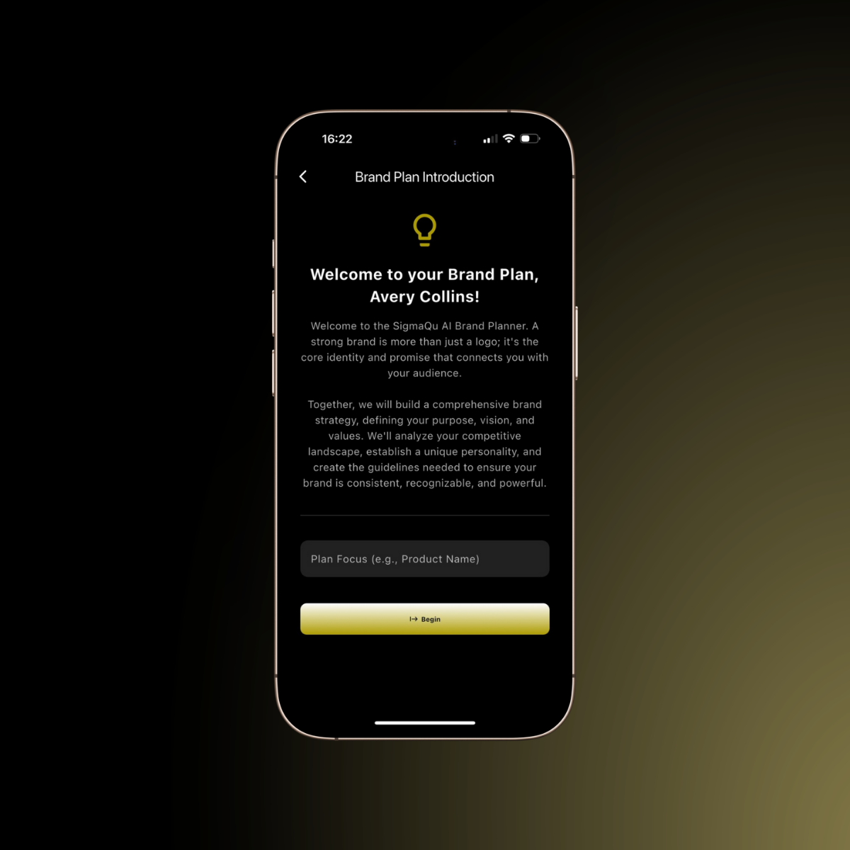 Brand plan builder app interface