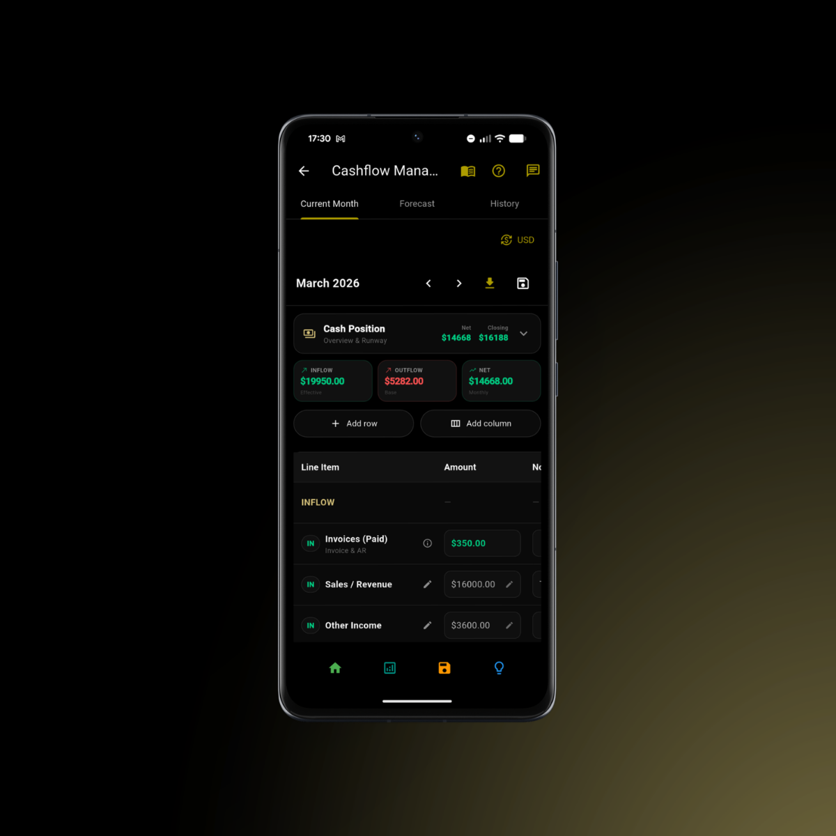 AI Cashflow Manager preview