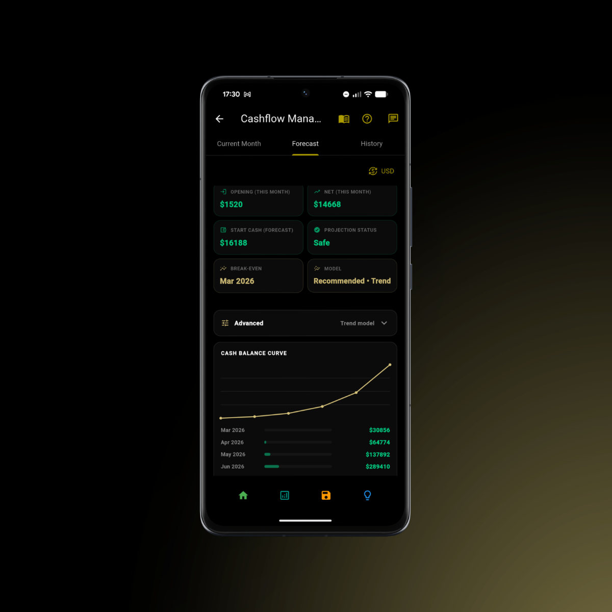Cashflow opening net and closing balance tracking