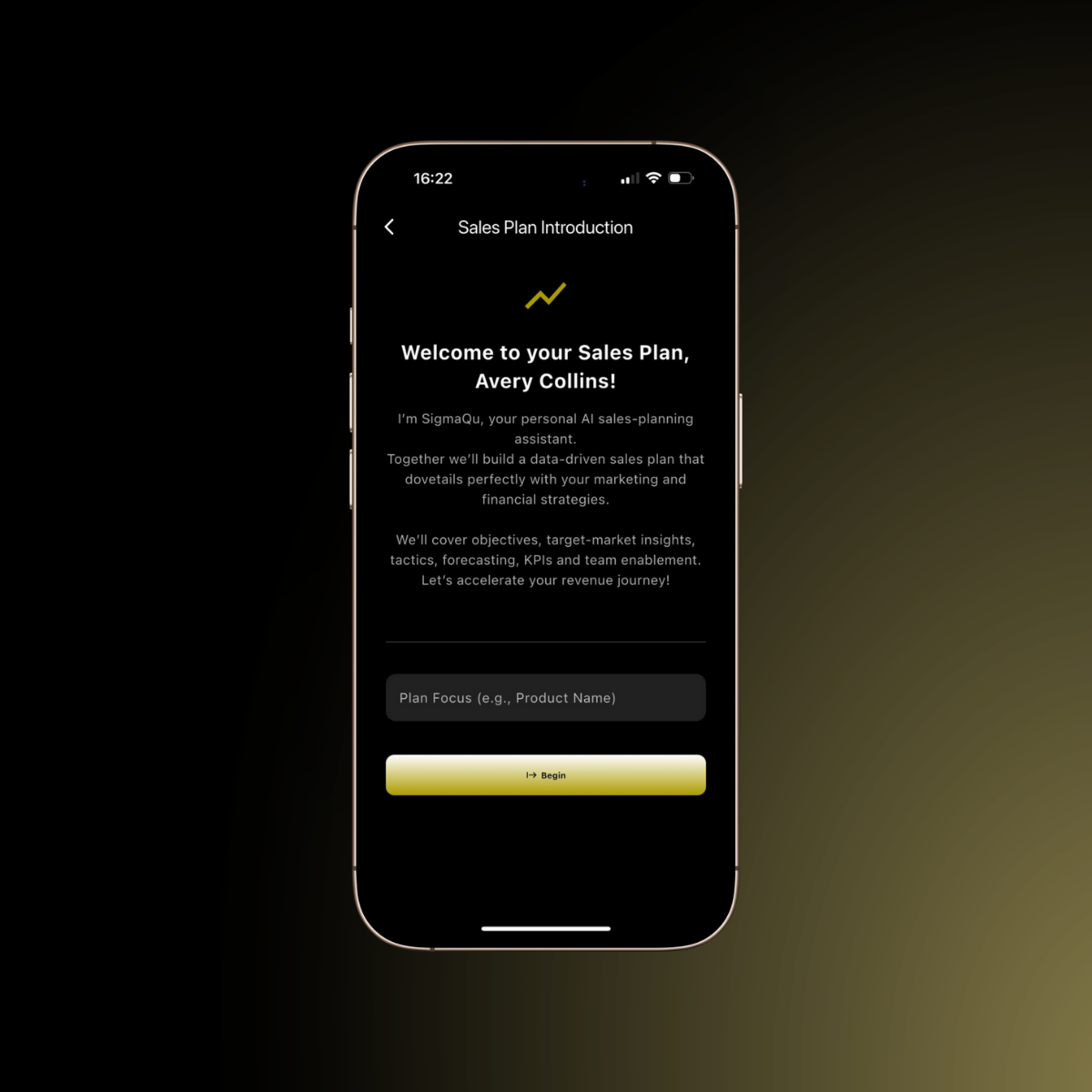 Sales Plan builder app interface
